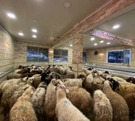 Küçükçekmece Adak Kurban Satış ve Kesim Merkezi