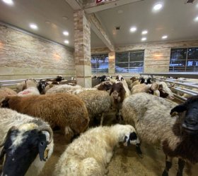 Uygun Fiyat Garantisi